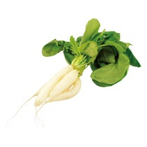 Eiszapfen NL 15 Stück