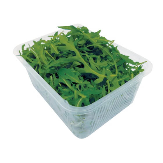 Rucola-Salat IT  125g/Sc