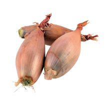 Echalotten / Schalotten rund FR Sackware 5kg