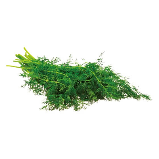 Dill DE ca.250g/Bund EP