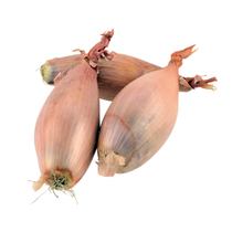 Echalotten / Schalotten lang AU  50-150g/St  Sackware