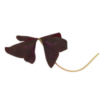 Yka Leaves NL 15Stück/Schale