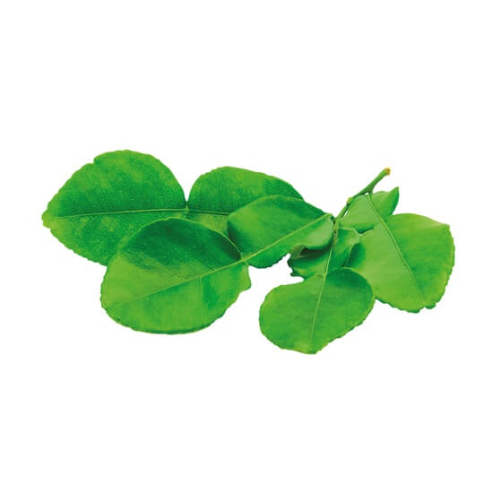 Kaffir Lime Leaves 25Stück/Schale