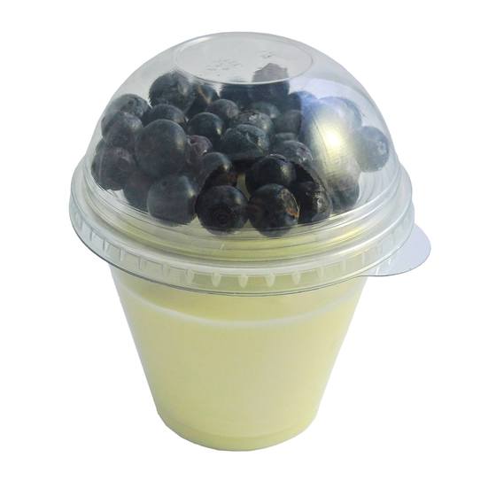 Vanille Quark mit Blaubeeren 220g Funken