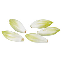 Chicoree lose NL KL1 5kg