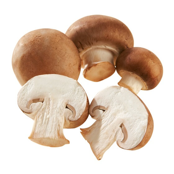 Champignon braun DE 2kg EP