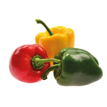 Paprika Mix/3 Farben NL KL1 EP gelegt 90-110mm