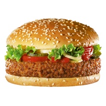 Hamburger gewürzt HIT roh TK 50x100g Salomon