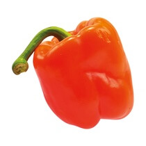 Paprika orange gelegt NL KL1 90-110mm 5kg EP