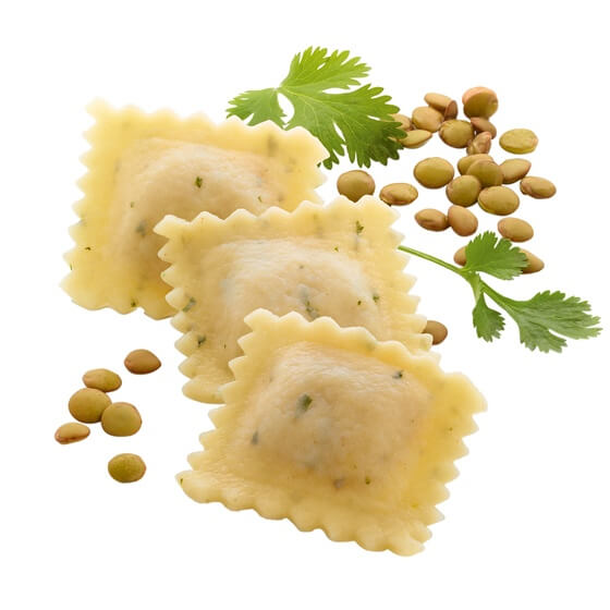 Ravioli mit Gemüse vegan TK 2Kg Dollon