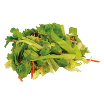 Schonkost-Mix Endivie Frisee Möhre Radicchio 1kg Funken