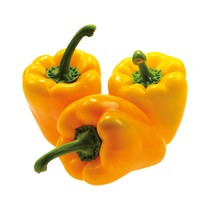 Paprika gelb gelegt NL KL1 EP 90-110mm 5kg