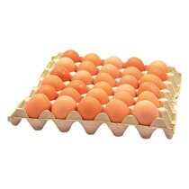 Eier Columbus Frischei Bodenhaltung braun lose Gr.M/L 180er