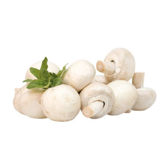 Champignon weiß DE kleinfallende Sortierung 2kg EP