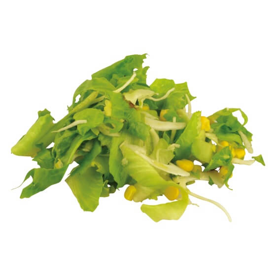 Starlight Weißkohl Endivie Mais Radicchio 2,5kg Funken