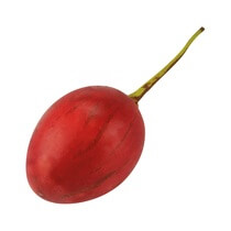 Tamarillo CO ca.110g/Stück