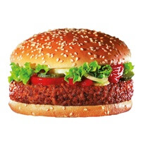 The Giant Burger TK 16x339g Salomon