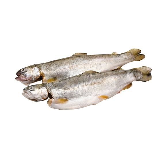 Forellen o.Rückengräte ausgenommen mit Kopf TK 240-260g/5kg