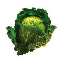 Wirsingkohl KL1 10kg DE EP