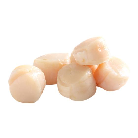 Scallops ohne Rogen 10/20 800g All-Fish