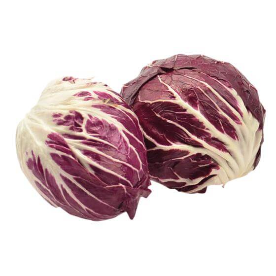 Radicchio IT KL1  3kg EP