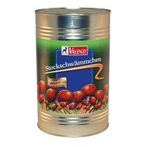 Stockschwämmchen 4kg/2,295kg Valenzi