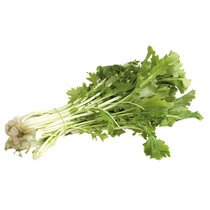 Stielmus / Rübstiel DE KL1 2,5kg EP