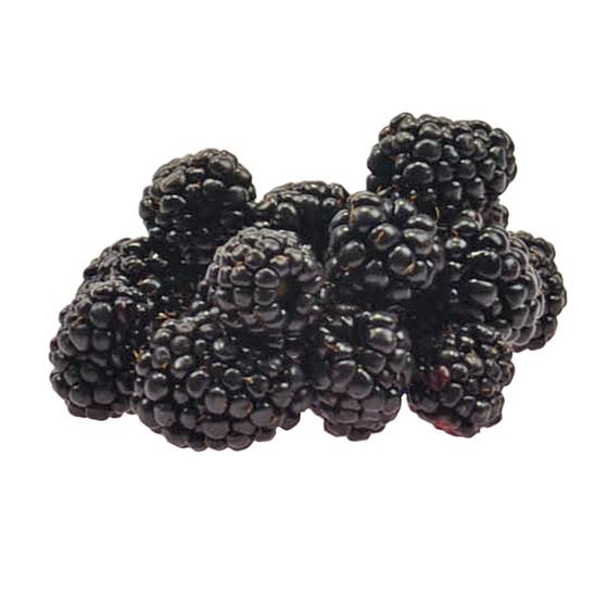 Brombeeren 125g DE EP