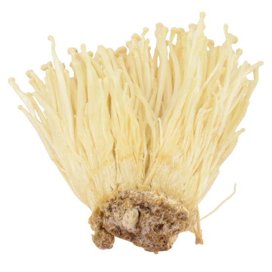 Enoki Pilze / Schneepilze 100g