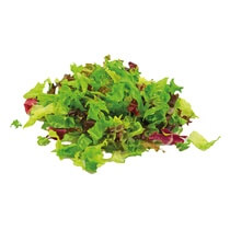 Kempener Salat Mix 1kg Funken