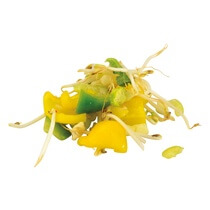 Asien Gemüsemix 2,5kg Funken