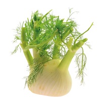 Fenchel KL1 lose 2,5kg EP DE