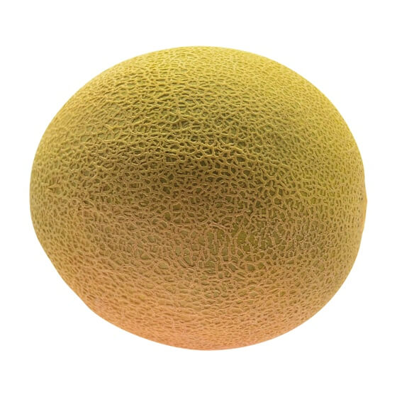 Cantaloupemelonen BR KL1 ca.1,1kg/Stück 6Stück/KT