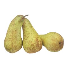 Birnen Abate Fetel IT KL1 75mm+ ca.220g/Stück gelegt